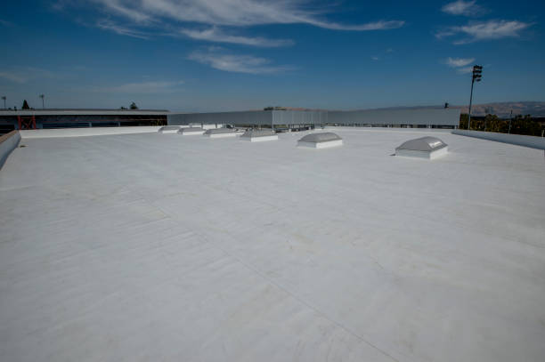 Roof Coating Services in Brighton, CO